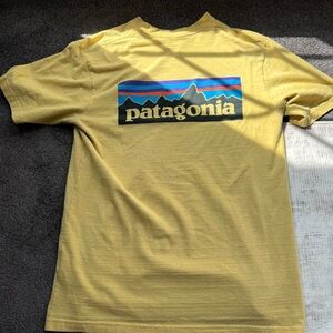 Patagonia Men's Short Sleeve Tee in Yellow
